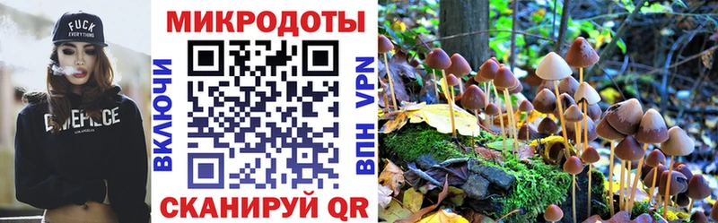 blacksprut вход  наркотики  Чердынь  Галлюциногенные грибы GOLDEN TEACHER 